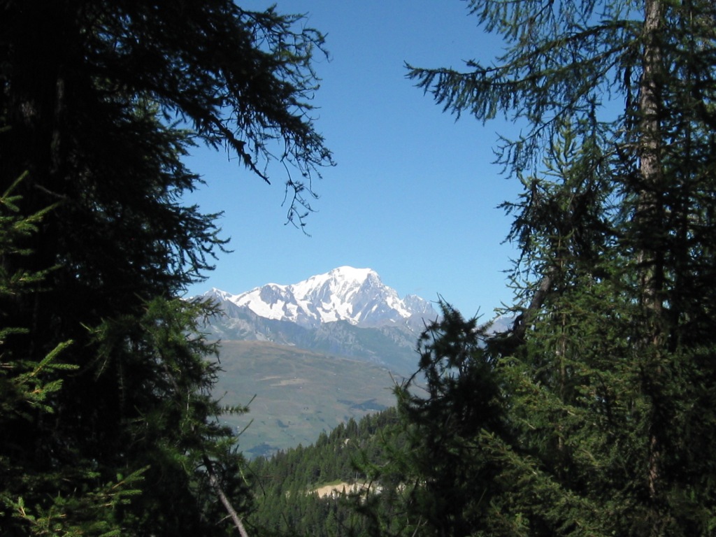 vue sur le Mont Blanc