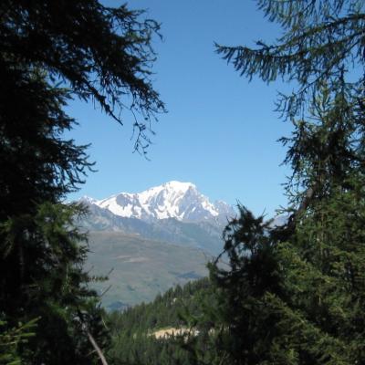 vue sur le Mont Blanc