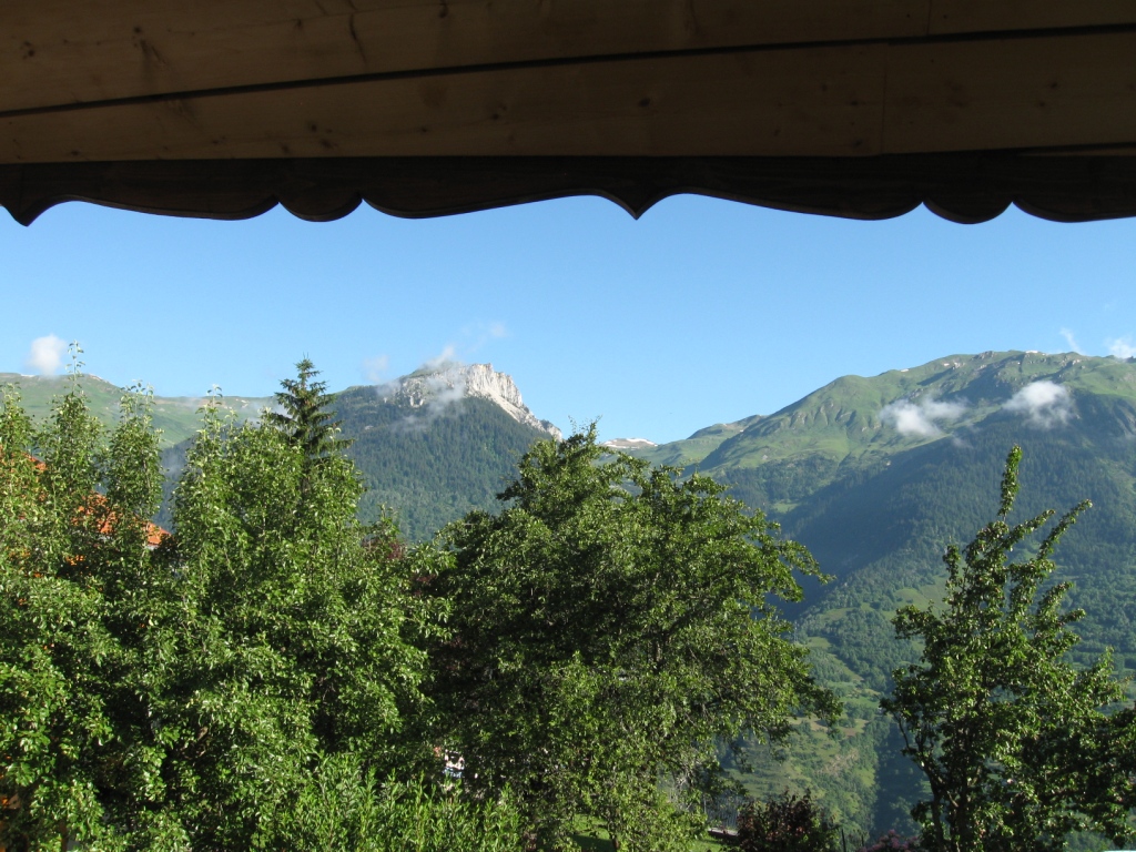 vue depuis la chambre campanule